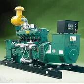 Générateur d'électricité au biogaz à digestion anaérobie