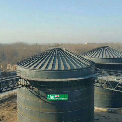 qualité  EGSB Biogas Plant Project Domestic Anaerobic Biogas Digester System usine