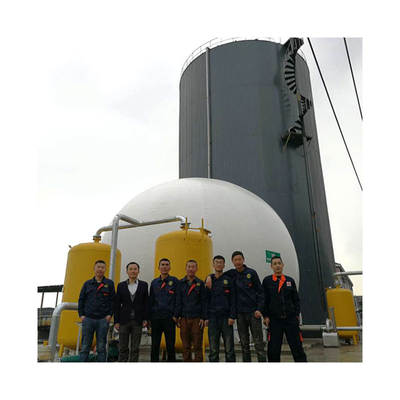 Capacité anaérobie de digesteur de biogaz de réservoir de digesteur d'engrais de porc