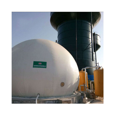 Capacité anaérobie de digesteur de biogaz de réservoir de digesteur d'engrais de porc
