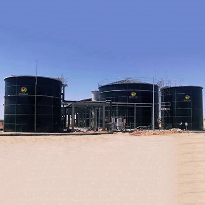 Projet anaérobie de digesteur de biogaz anaérobie de réacteur de CSTR en Chine