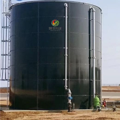 Bio biogaz comprimé de projet de gaz en tant qu'énergie renouvelable