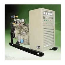 Peinture à pulvériser générateur de biogaz électrique Type de combustible biogaz