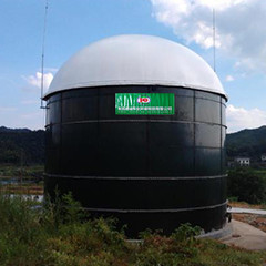 Biogaz anaérobie du réacteur à lit fluidisé UASB d'engrais de poulet
