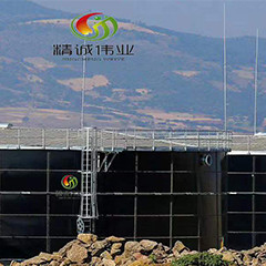 Biogaz anaérobie du réacteur à lit fluidisé UASB d'engrais de poulet
