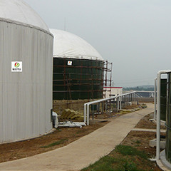 Biogaz anaérobie du réacteur à lit fluidisé UASB d'engrais de poulet