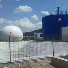 Réacteur de ordonnancement anaérobie géant en lots du digesteur ASBR de méthane d'engrais de vache