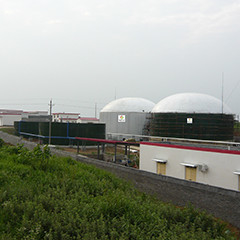 Lit anaérobie de boue de Rate Anaerobic Reactor Kitchen Waste de flux ascendant élevé de digesteur
