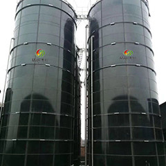 Digestion couvrante de boue anaérobie de flux ascendant de réacteur du biogaz EGSB pour l'engrais de poulet
