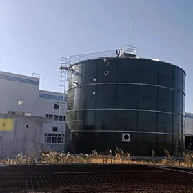Digesteur anaérobie de méthane d'engrais de traitement des eaux résiduaires de réacteur d'EGSB