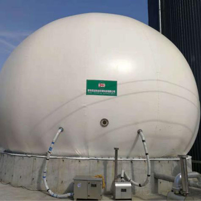 Le bio support de gaz d'Anaerobiosis PDFE a conteneurisé l'usine de biogaz flexible