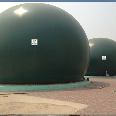 Le bio support de gaz d'Anaerobiosis PDFE a conteneurisé l'usine de biogaz flexible