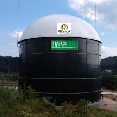 Le bio support de gaz d'Anaerobiosis PDFE a conteneurisé l'usine de biogaz flexible