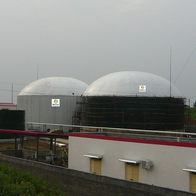 Désulfuration des gaz de fumée humide de l'équipement 10ppm de purification de biogaz de H2S