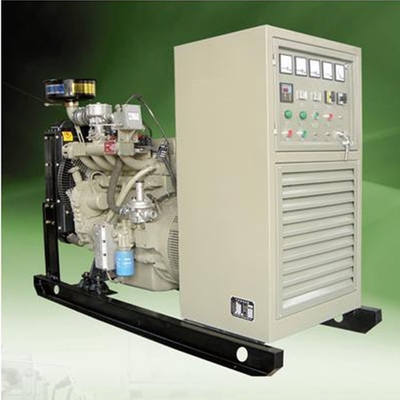 Alternative générateur électrique de biogaz à la maison de générateur de biogaz de 100 kilowatts