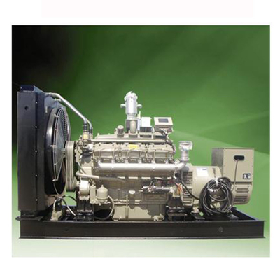 L'électricité de générateur de méthane du moteur-générateur 500KW du biogaz 10KVA
