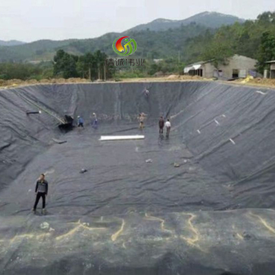 Liner pour étang géomembrané HDPE imperméable Liner pour étang en polyéthylène à haute densité