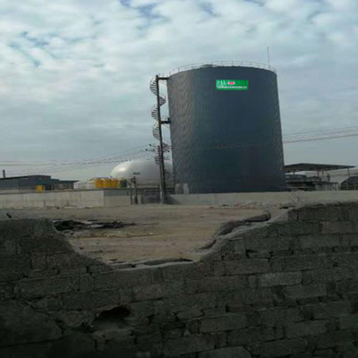 Usine de traitement des eaux résiduaires de PCCE de Dung Biogas Chp Plant EGSB de vache
