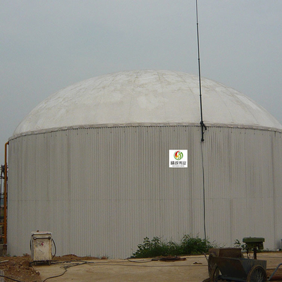 Bio support de gaz de réacteur de biogaz de gaz de support de digesteur résidentiel anaérobie de méthane