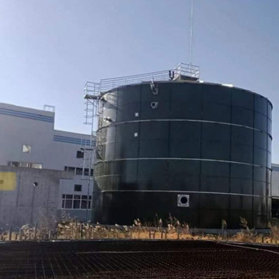Haut Rate Anaerobic Reactor Anaerobic Fixed réacteur de film d'EGSB économique